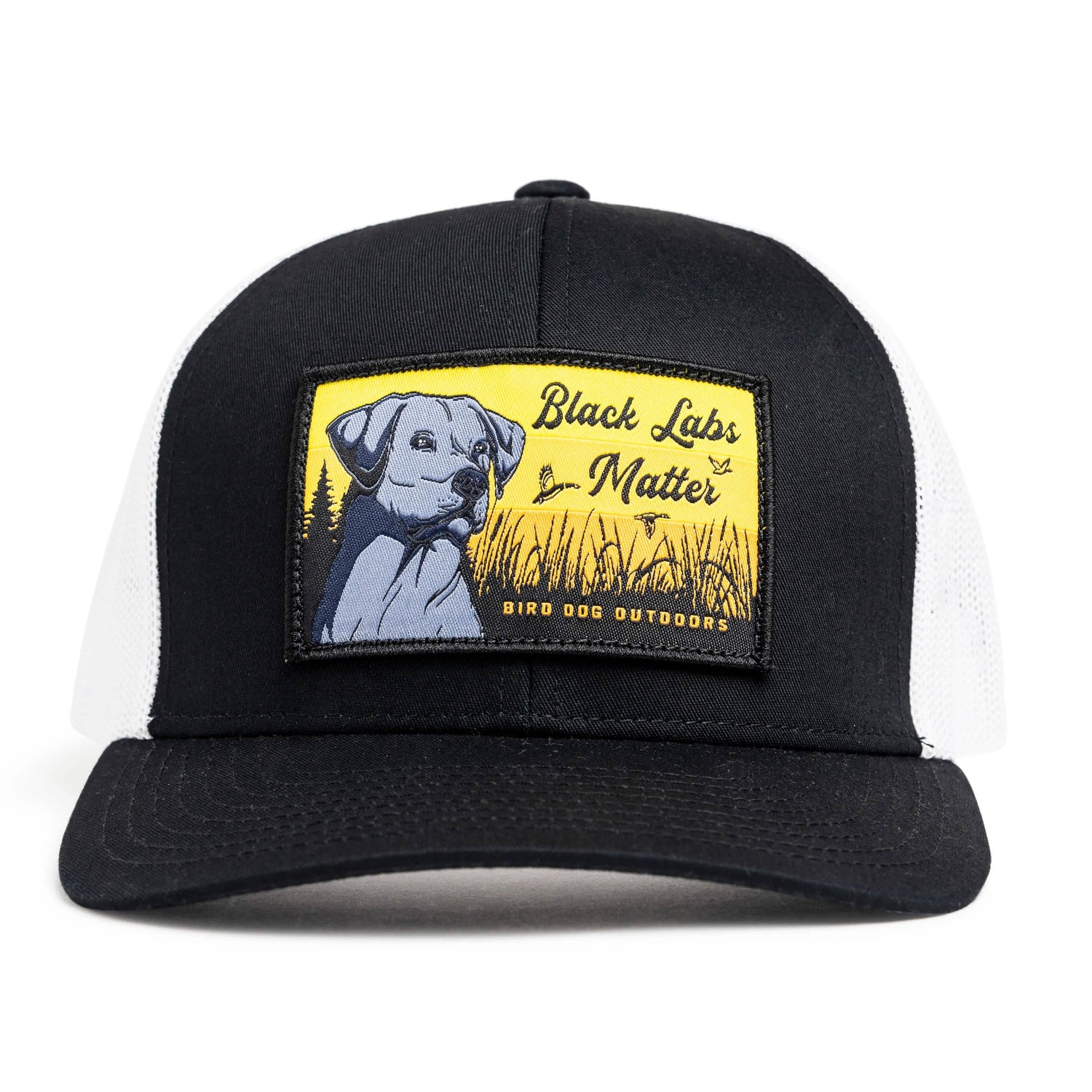 Black Labs Matter Hat