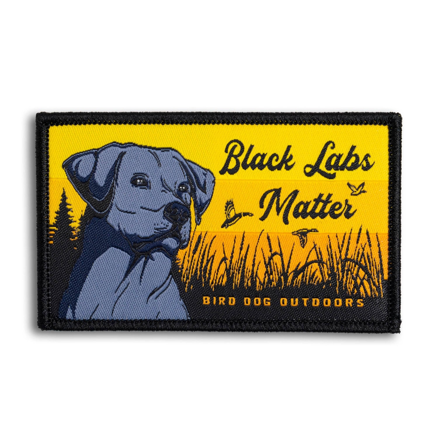 Black Labs Matter Hat